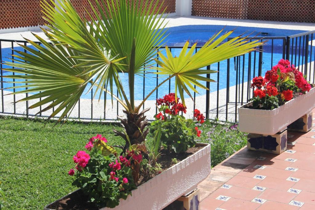 Hotel California Nerja Extérieur photo
